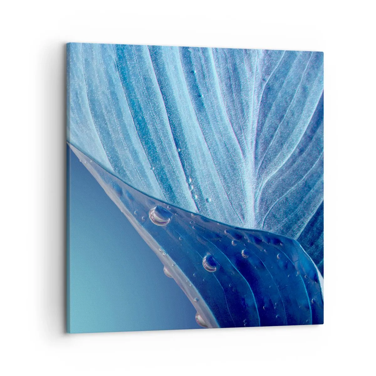 Cuadro sobre lienzo - Impresión de Imagen - Gotas ocultas de azul - 50x50 cm