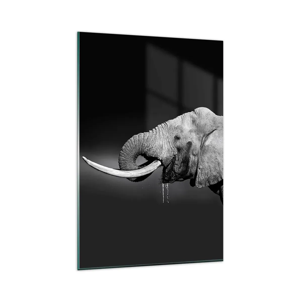 Cuadro sobre vidrio - Impresiones sobre Vidrio - Retrato en blanco y negro de un elefante de perfil. - 80x120cm - Majestuoso - Decoración de pared moderna para salón y dormitorio ARTTOR