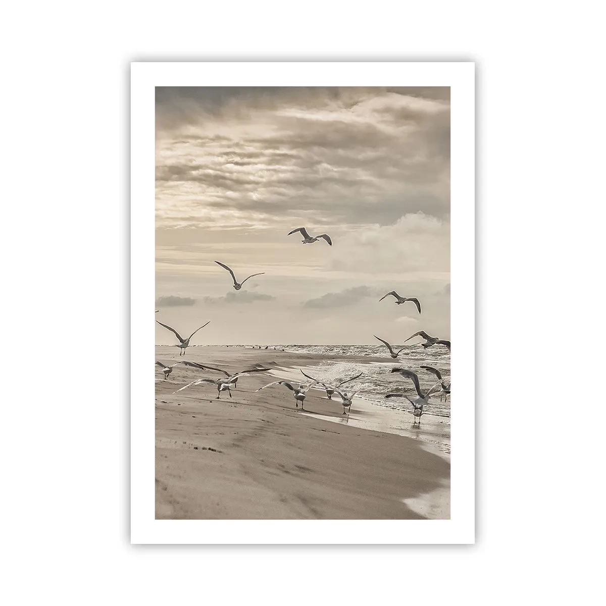 Póster - Gaviotas revoloteando sobre la orilla del mar bajo un cielo nublado - 50x70cm - El sonido del mar, el canto de los pájaros - Decoración de pared moderna para salón y dormitorio ARTTOR
