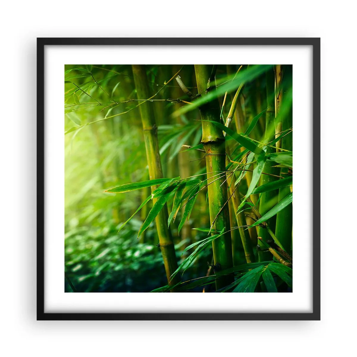 Póster en marco negro - Conocer el propio verdor - 50x50 cm