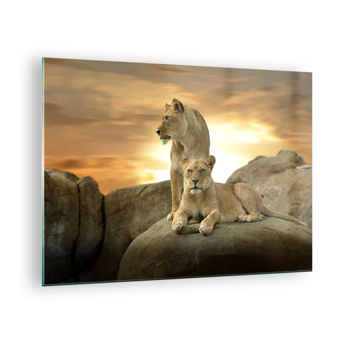 Cuadro sobre vidrio - Impresiones sobre Vidrio - Majestad Real - 70x50cm - Majestuosidad real - Decoración de pared moderna para salón y dormitorio ARTTOR