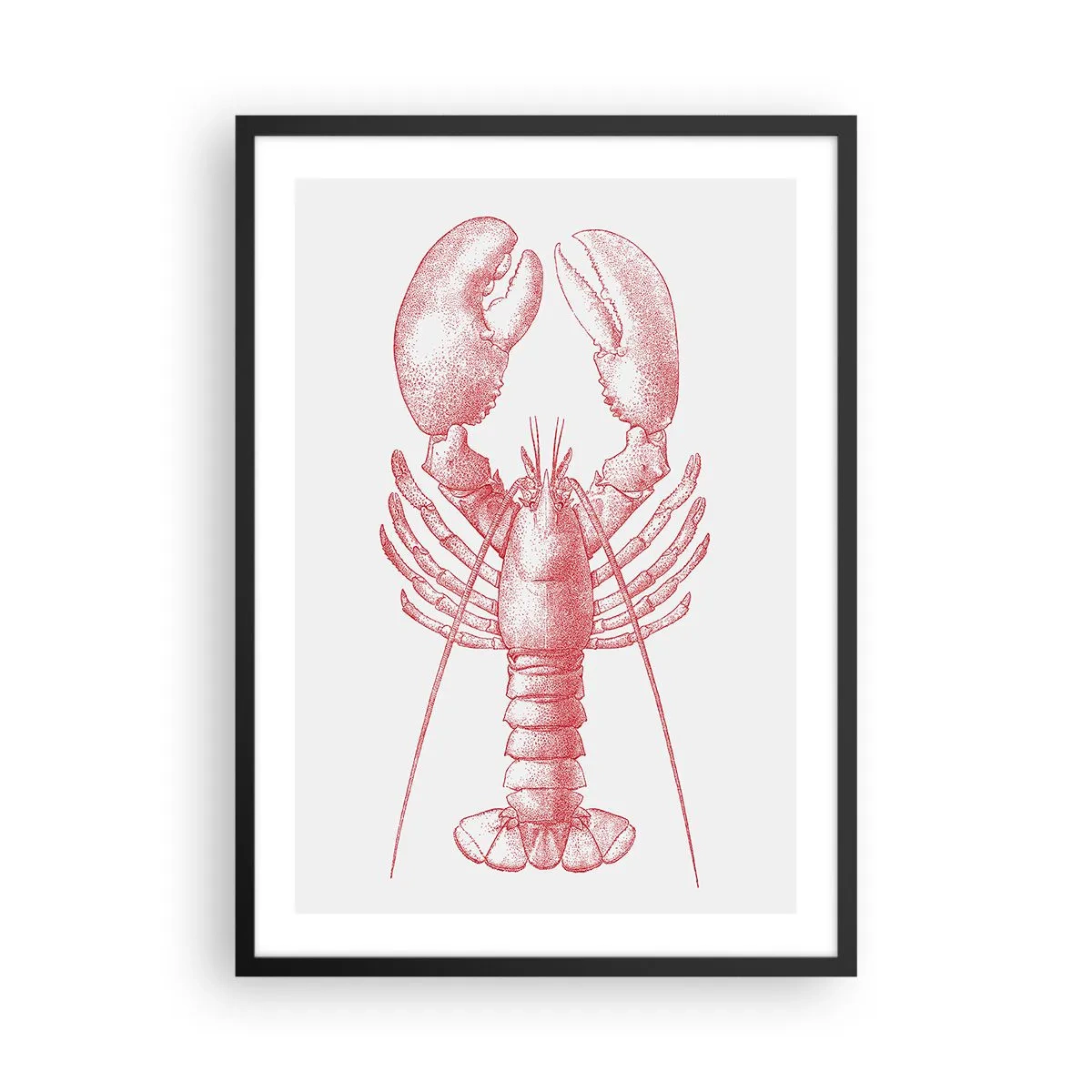 Póster en marco negro - La reina de los fondos rocosos - 50x70 cm