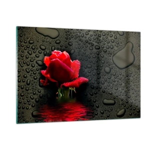 Cuadro sobre vidrio - Impresiones sobre Vidrio - Rosa roja con gotas de agua sobre un fondo oscuro - 120x80cm - Rojo y negro - Decoración de pared moderna para salón y dormitorio ARTTOR