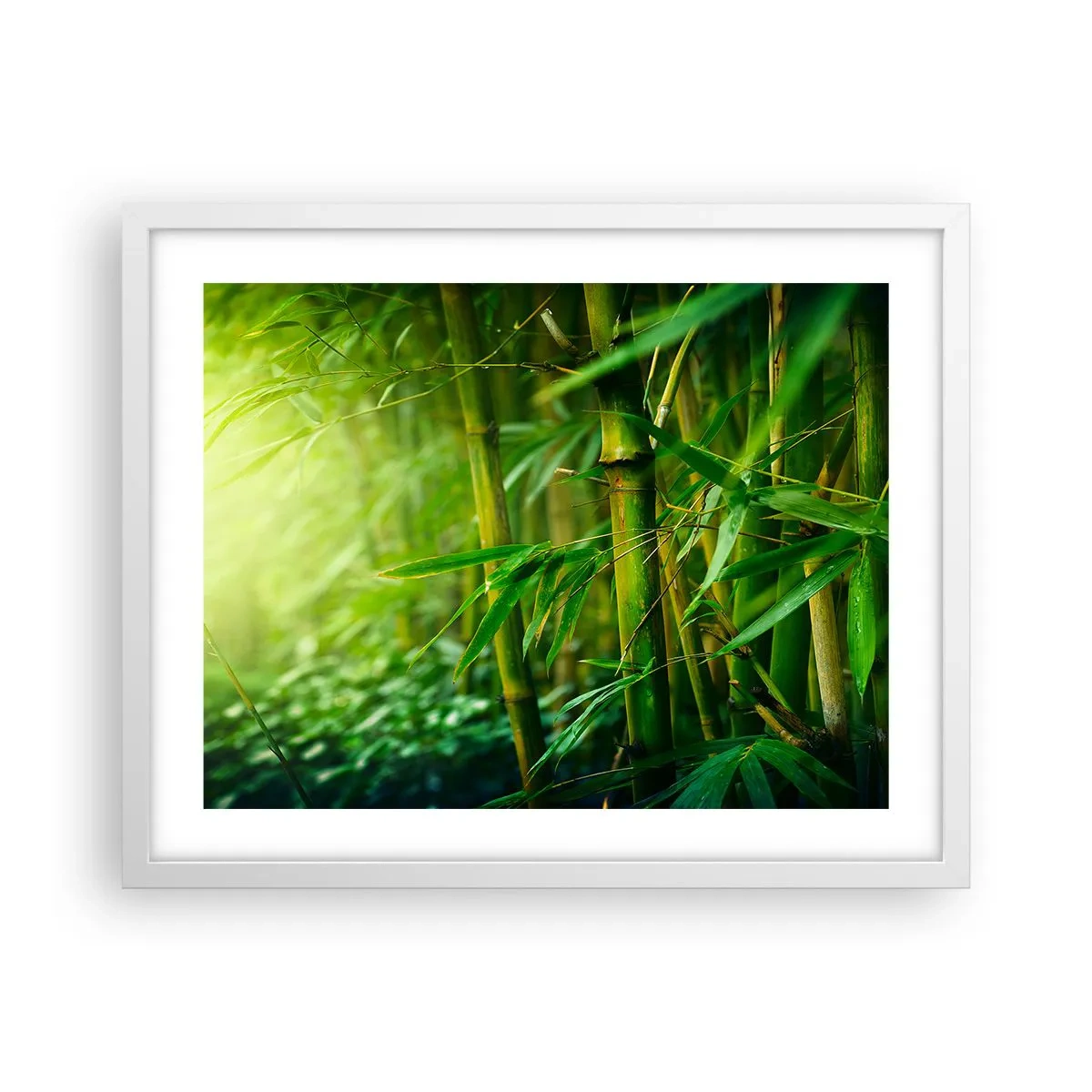 Póster en marco blanco - Conocer el propio verdor - 50x40 cm