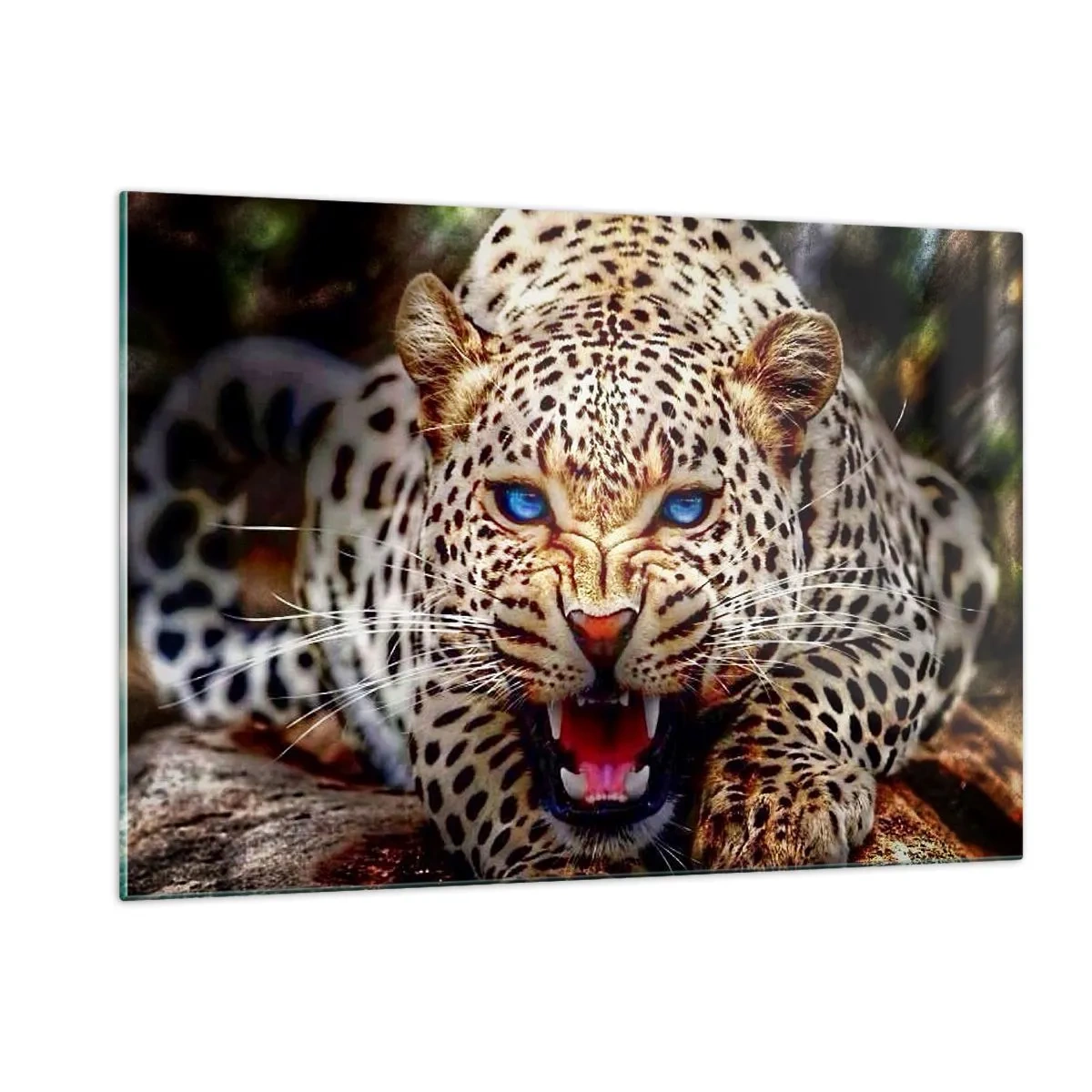 Cuadro sobre vidrio - Impresiones sobre Vidrio - Un feroz leopardo de ojos azules en estado salvaje. - 120x80cm - La ira no daña la belleza - Decoración de pared moderna para salón y dormitorio ARTTOR