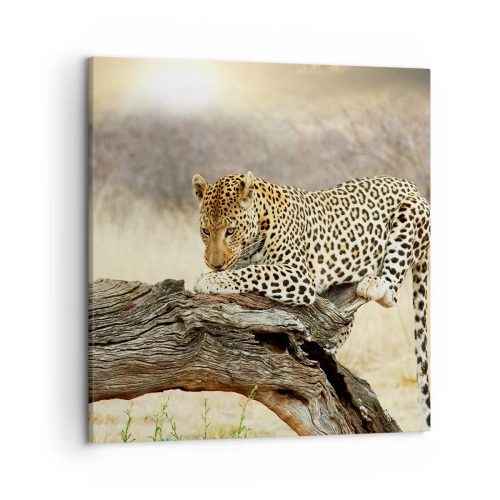 Cuadro sobre lienzo - Impresión de Imagen - Voy por mi cuenta - 50x50 cm