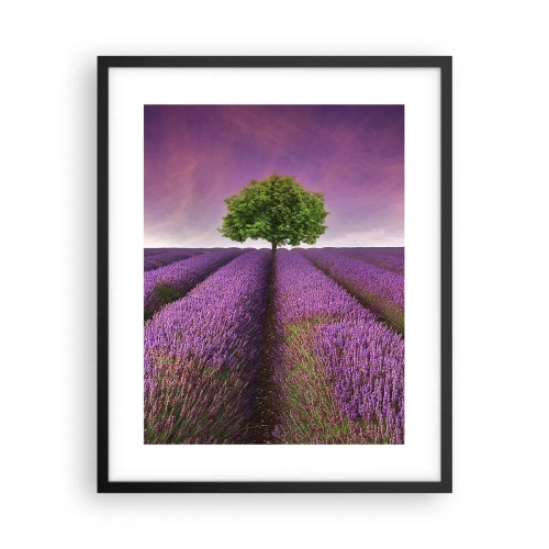 Póster en marco negro - En los campos de lavanda - 40x50 cm