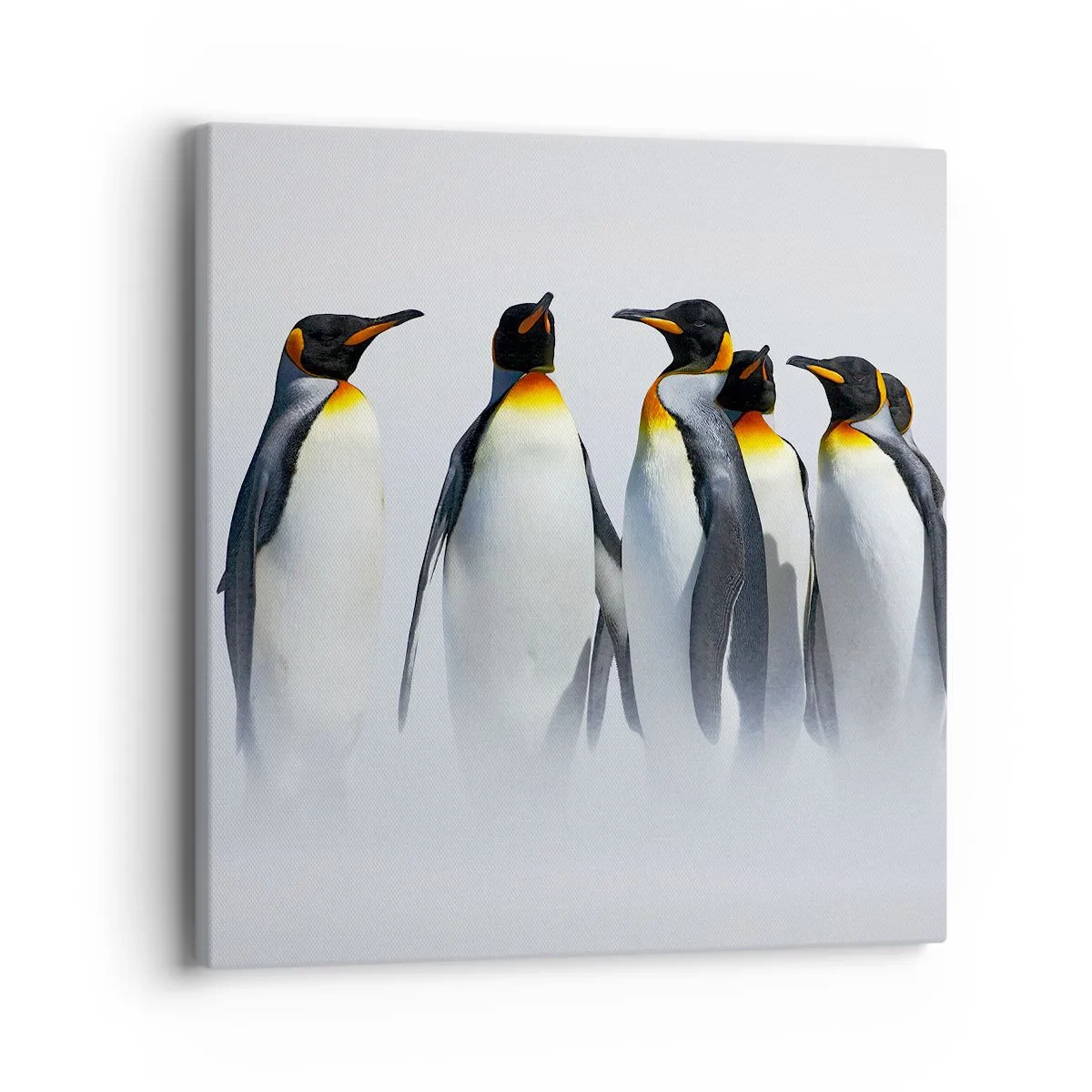 Cuadro sobre lienzo - Impresión de Imagen - Reunión en traje de noche - 40x40 cm