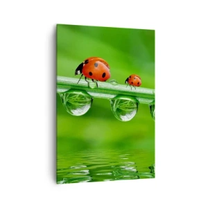 Cuadro sobre lienzo - Impresión de Imagen - Mariquitas sobre una brizna de hierba con gotas de rocío en un entorno natural. - 70x100cm - En el camino todo el verano - Decoración de pared moderna para salón y dormitorio ARTTOR