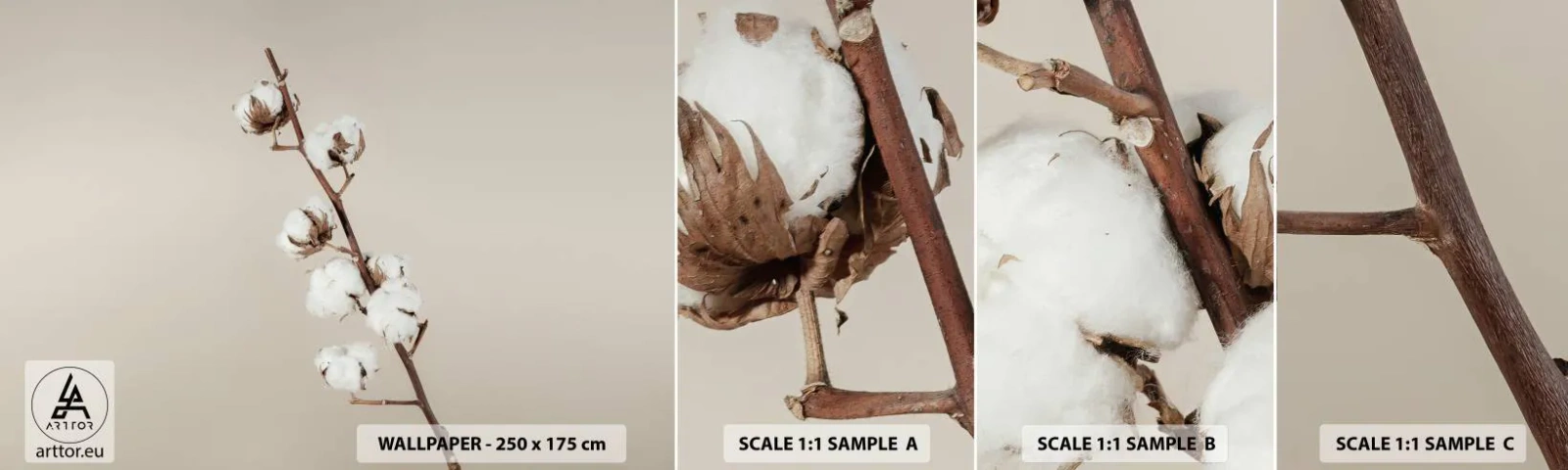 Muestra De Fotomural Standard Eco - En la fuente de la suavidad - Flor de algodon, Naturaleza, Algodón - 100x30 cm