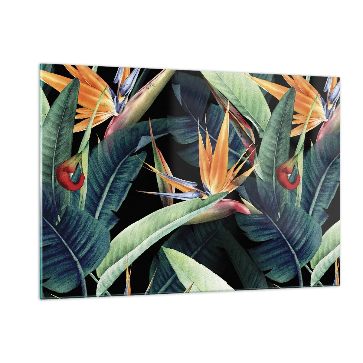 Cuadro sobre vidrio - Impresiones sobre Vidrio - Flores de strelitzia y hojas tropicales sobre fondo negro - 120x80cm - Flores de llamas de los trópicos - Decoración de pared moderna para salón y dormitorio ARTTOR