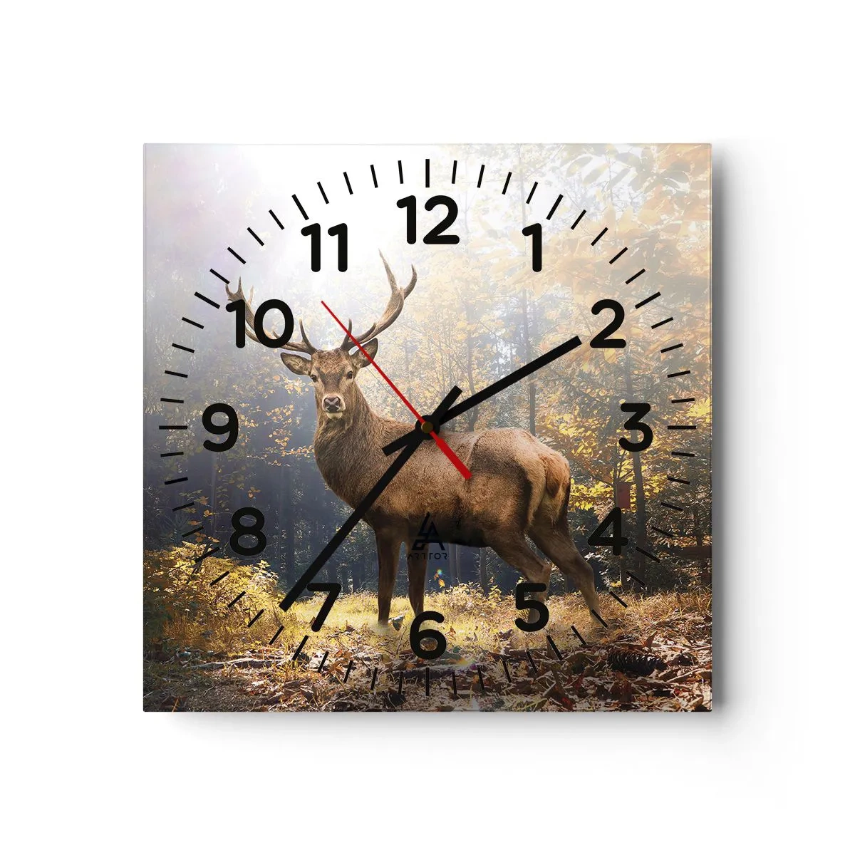 Reloj de pared - Reloj de vidrio - Con toda la majestuosidad - 30x30 cm