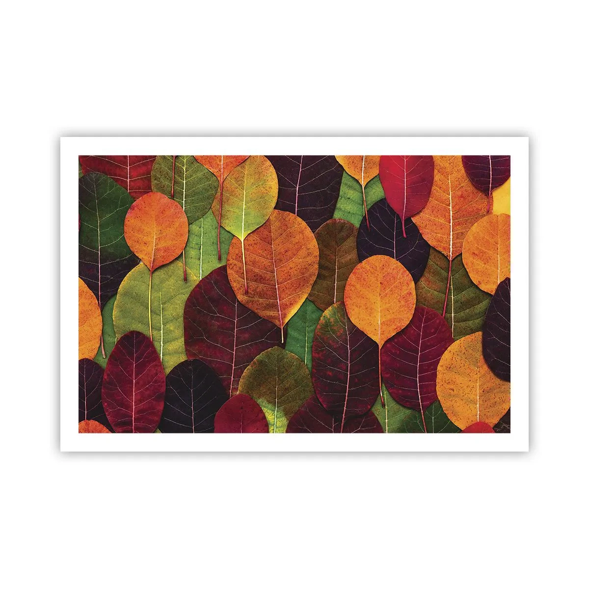Póster - Mosaico de otoño - 91x61 cm