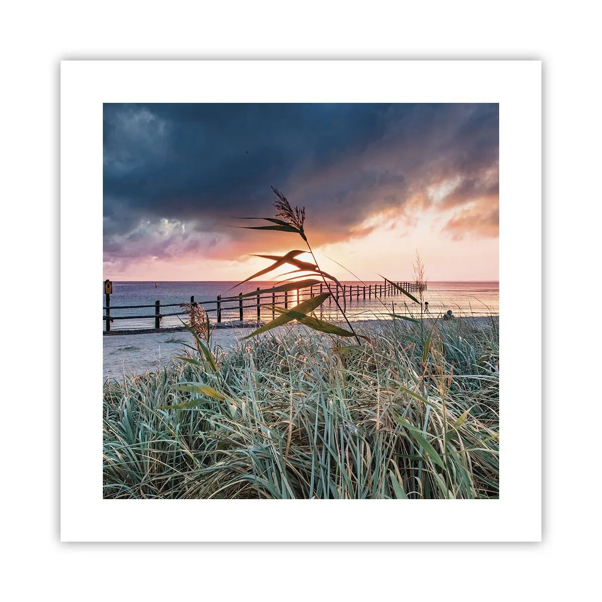 Póster - Bailando con el viento - 40x40 cm