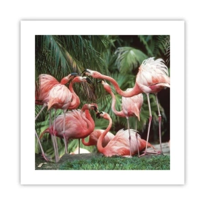 Póster - Cotilleos de la tarde - 40x40 cm