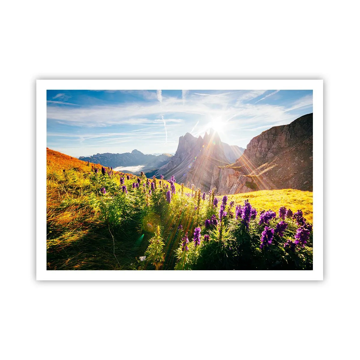 Póster - Paisaje de montaña con flores a la luz del sol naciente. - 100x70cm - La vida secreta de las hierbas - Decoración de pared moderna para salón y dormitorio ARTTOR