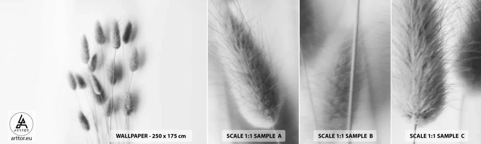 Muestra De Fotomural Standard Eco - Esponjas naturales - Césped, En blanco y negro, flores - 100x30 cm