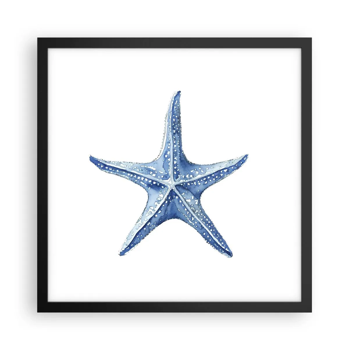 Póster en marco negro - Estrella de mar - 40x40 cm