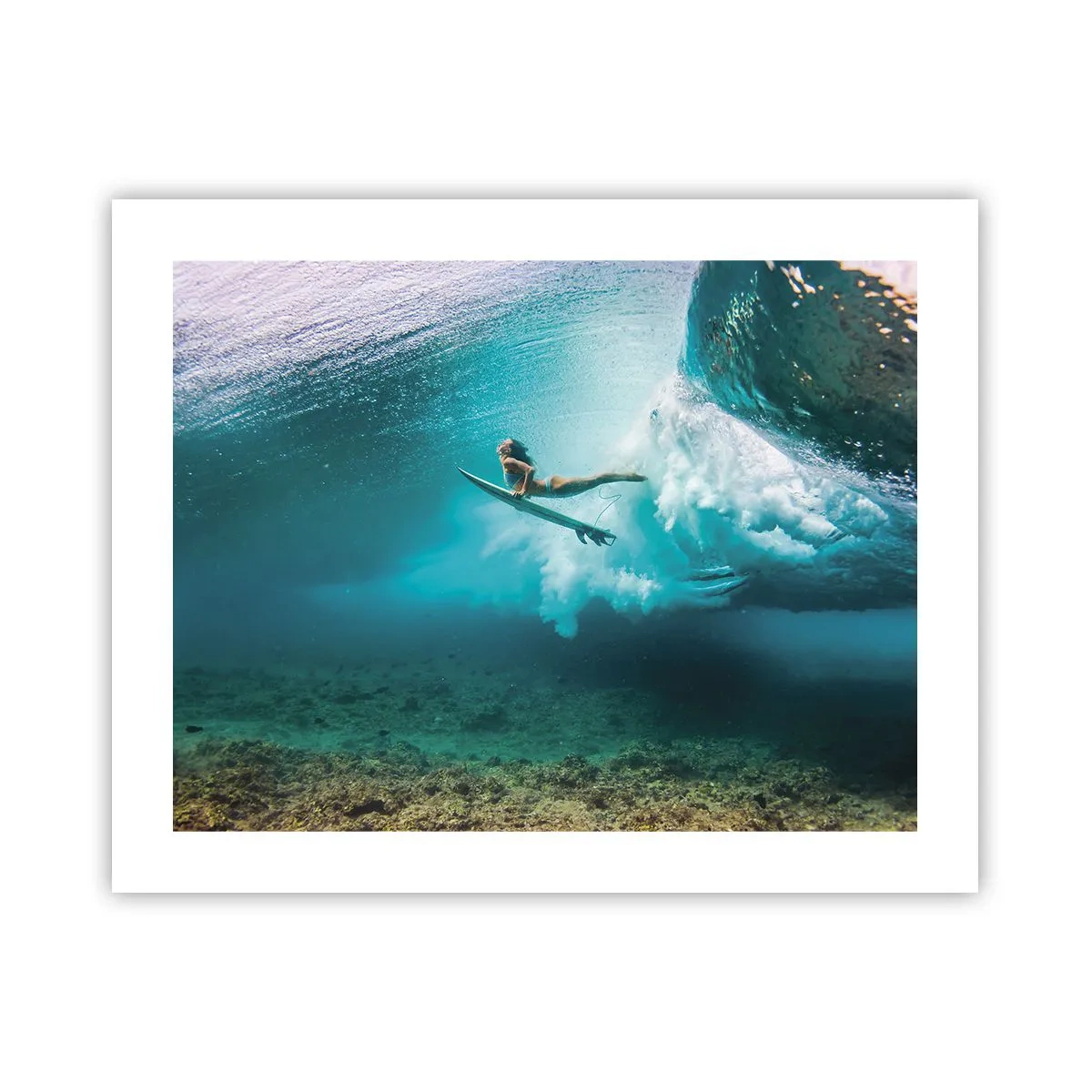 Póster - Mundo submarino - 50x40 cm