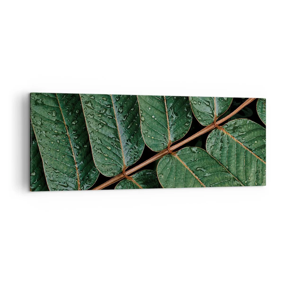 Cuadro sobre lienzo - Impresión de Imagen - Fotografía macro de hojas verdes con gotas de rocío. - 140x50cm - En un ritmo verde - Decoración de pared moderna para salón y dormitorio ARTTOR