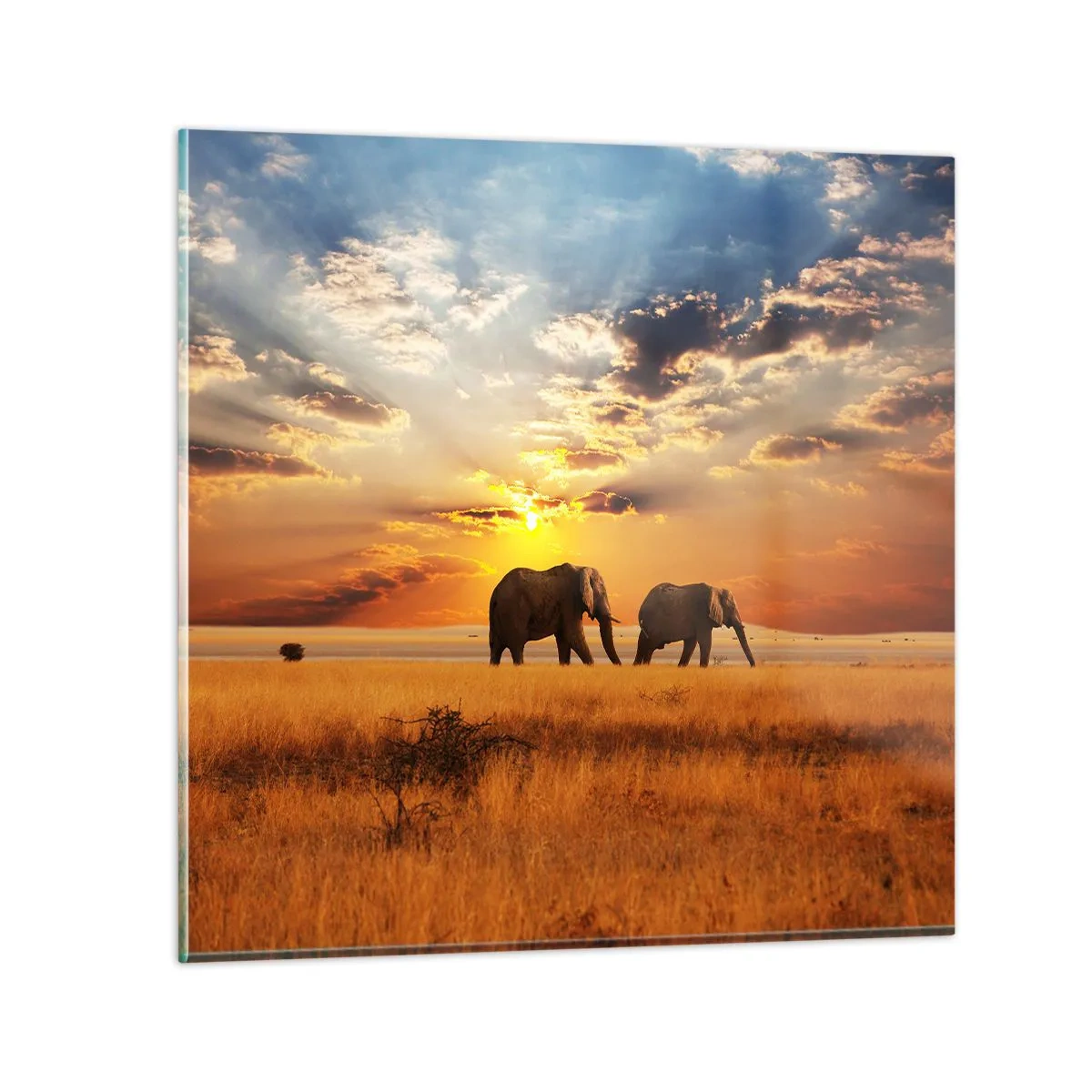 Cuadro sobre vidrio - Impresiones sobre Vidrio - Un paseo en familia - 50x50 cm