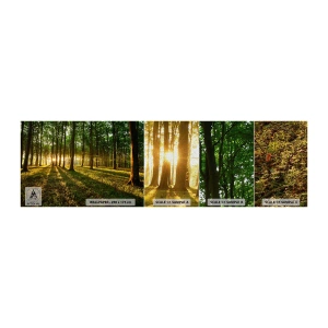Muestra de fotomural Premium Canvas - Una fotografía de todos los manantiales - Paisaje, Bosque, Naturaleza - 100x30 cm
