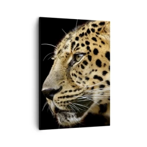 Cuadro sobre lienzo - Impresión de Imagen - Primer plano de la cabeza de un leopardo sobre un fondo negro - 50x70cm - Tranquilo, concentrado, preparado - Decoración de pared moderna para salón y dormitorio ARTTOR