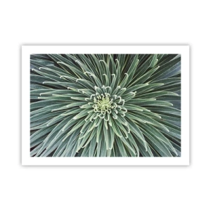 Póster - El nacimiento de una estrella - 70x50 cm