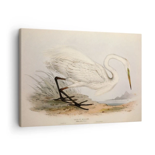 Cuadro sobre lienzo - Impresión de Imagen - Dibujo de una garza blanca sobre un fondo de paisaje natural. - 70x50cm - Dama de los juncos - Decoración de pared moderna para salón y dormitorio ARTTOR