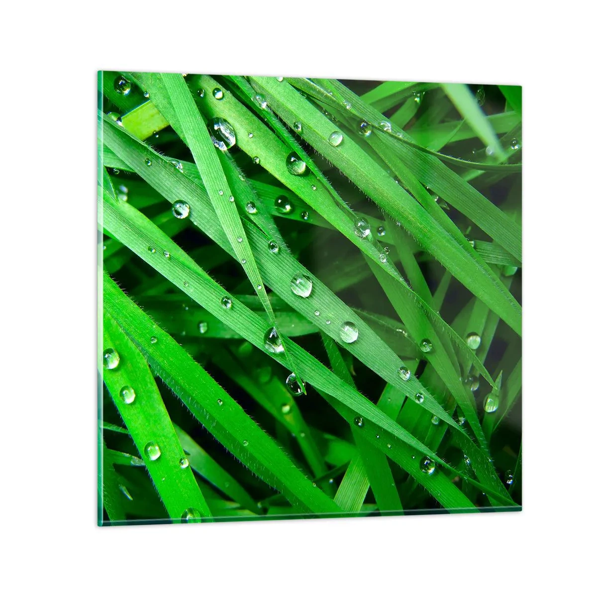 Cuadro sobre vidrio - Impresiones sobre Vidrio - Jugar al verde - 40x40 cm