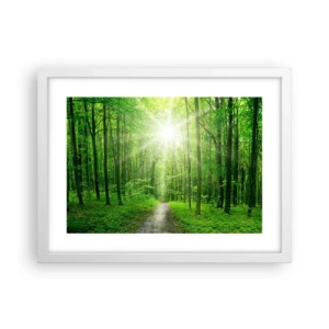 Póster en marco blanco - Catedral verde - 40x30 cm