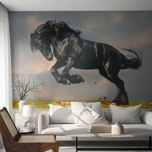 Fotomural Premium Sand - Un caballo oscuro en un salto dinámico contra el cielo. - 100x70cm - Hermoso y libre - Decoración de pared moderna para salón y dormitorio ARTTOR