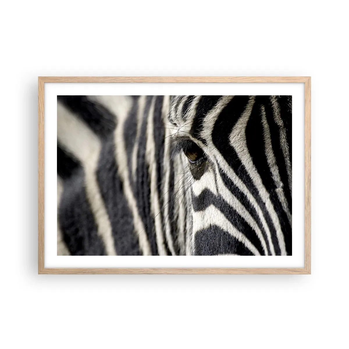 Póster en marco roble claro - Retrato a rayas - 70x50 cm