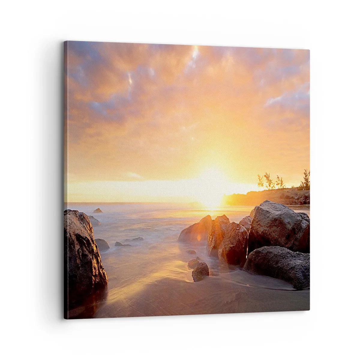 Cuadro sobre lienzo - Impresión de Imagen - Brisa luminosa del atardecer - 60x60 cm