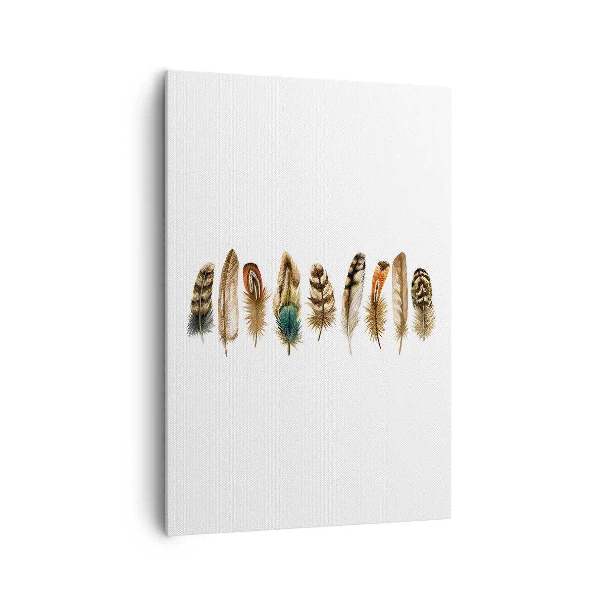 Cuadro sobre lienzo - Impresión de Imagen - Motivo decorativo de una colección de varias plumas. - 70x100cm - Estudio de plumas - Decoración de pared moderna para salón y dormitorio ARTTOR