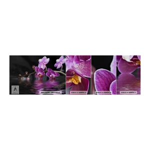 Muestra De Fotomural Standard Eco - Un reflejo lila de la belleza - flores, Orquídea, Naturaleza - 100x30 cm