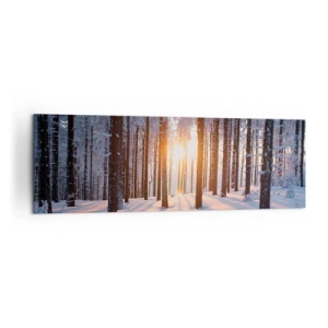Cuadro sobre lienzo - Impresión de Imagen - Bosque invernal iluminado por los rayos del sol. - 160x50cm - Claramente en blanco y negro - Decoración de pared moderna para salón y dormitorio ARTTOR