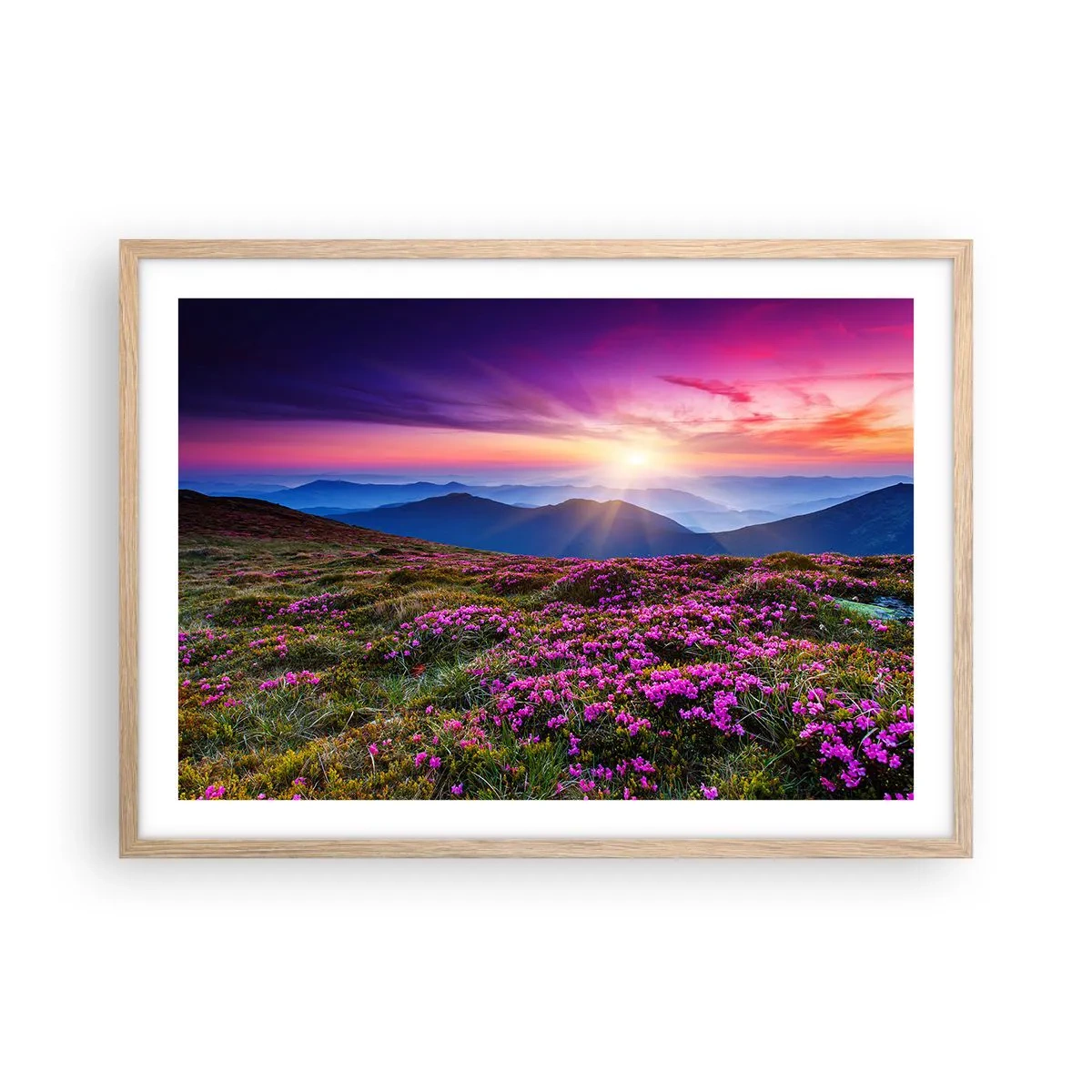 Póster en marco roble claro - Dulce aroma a frescura - 70x50 cm