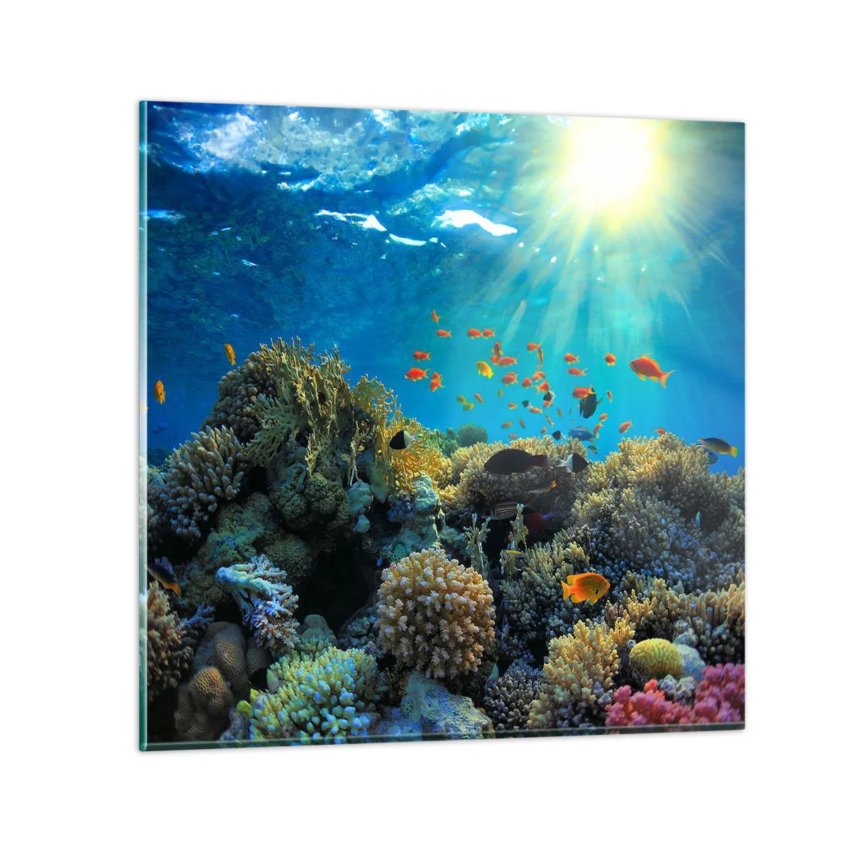 Cuadro sobre vidrio - Impresiones sobre Vidrio - Tesoros submarinos - 40x40 cm