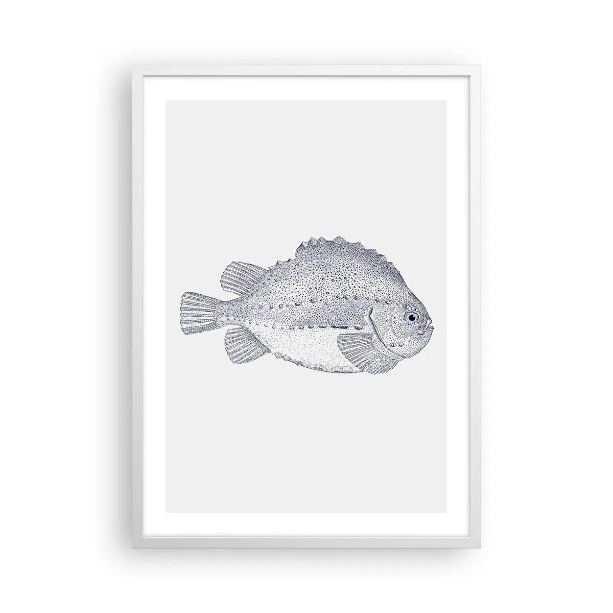 Póster en marco blanco - Para el álbum del naturalista - 50x70 cm
