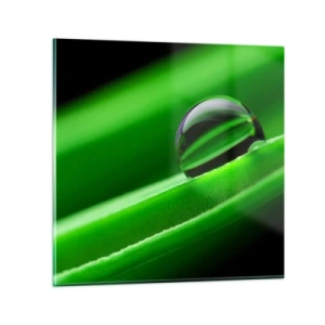 Cuadro sobre vidrio - Impresiones sobre Vidrio - La vida de cerca - 40x40 cm