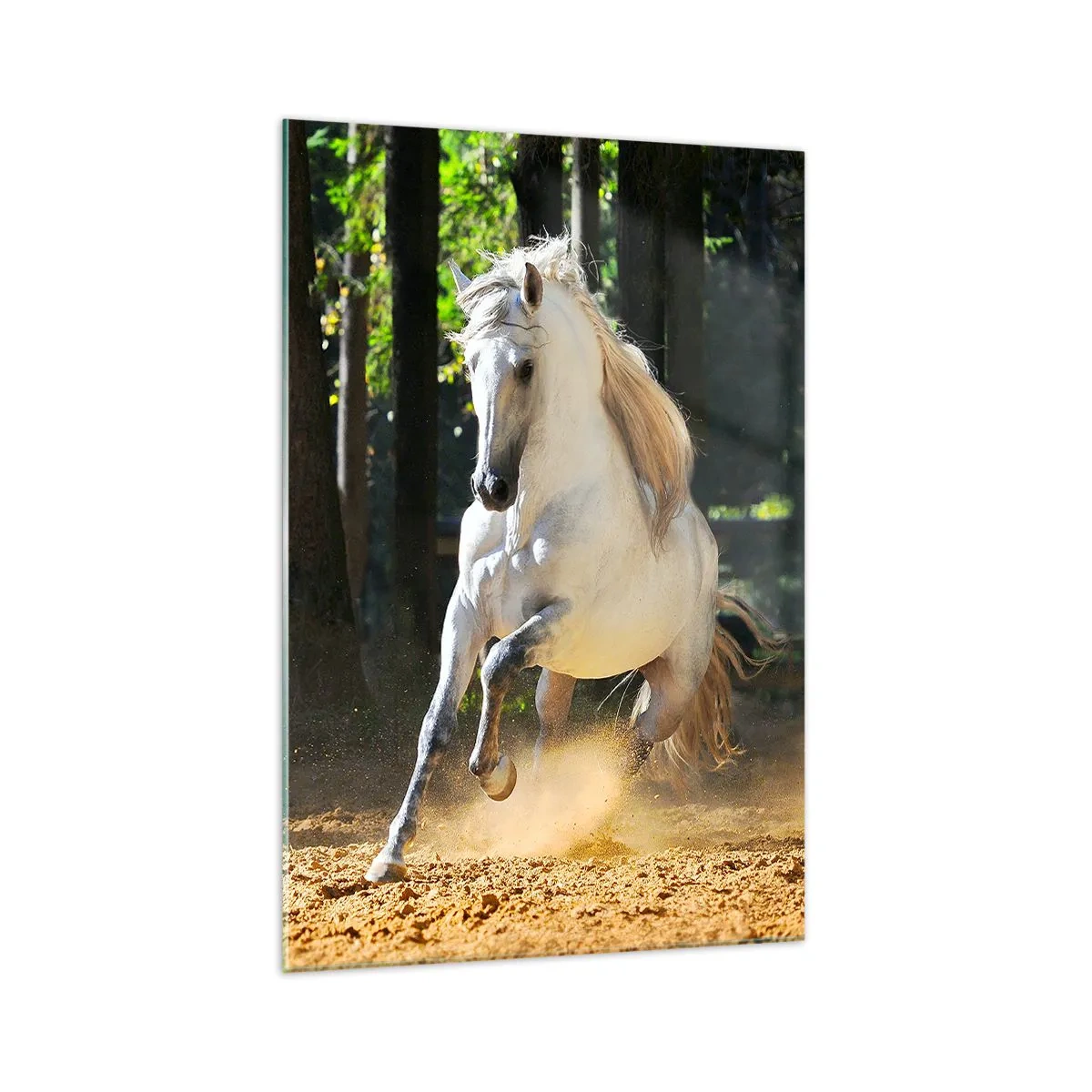 Cuadro sobre vidrio - Impresiones sobre Vidrio - Un caballo blanco galopando a través de un claro del bosque. - 70x100cm - Como en una novela de fantasía - Decoración de pared moderna para salón y dormitorio ARTTOR