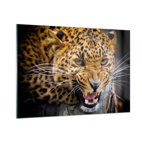 Cuadro sobre vidrio - Impresiones sobre Vidrio - Primer plano de un leopardo agresivo con detalles claros. - 100x70cm - ¡Atrás, te lo advierto! - Decoración de pared moderna para salón y dormitorio ARTTOR