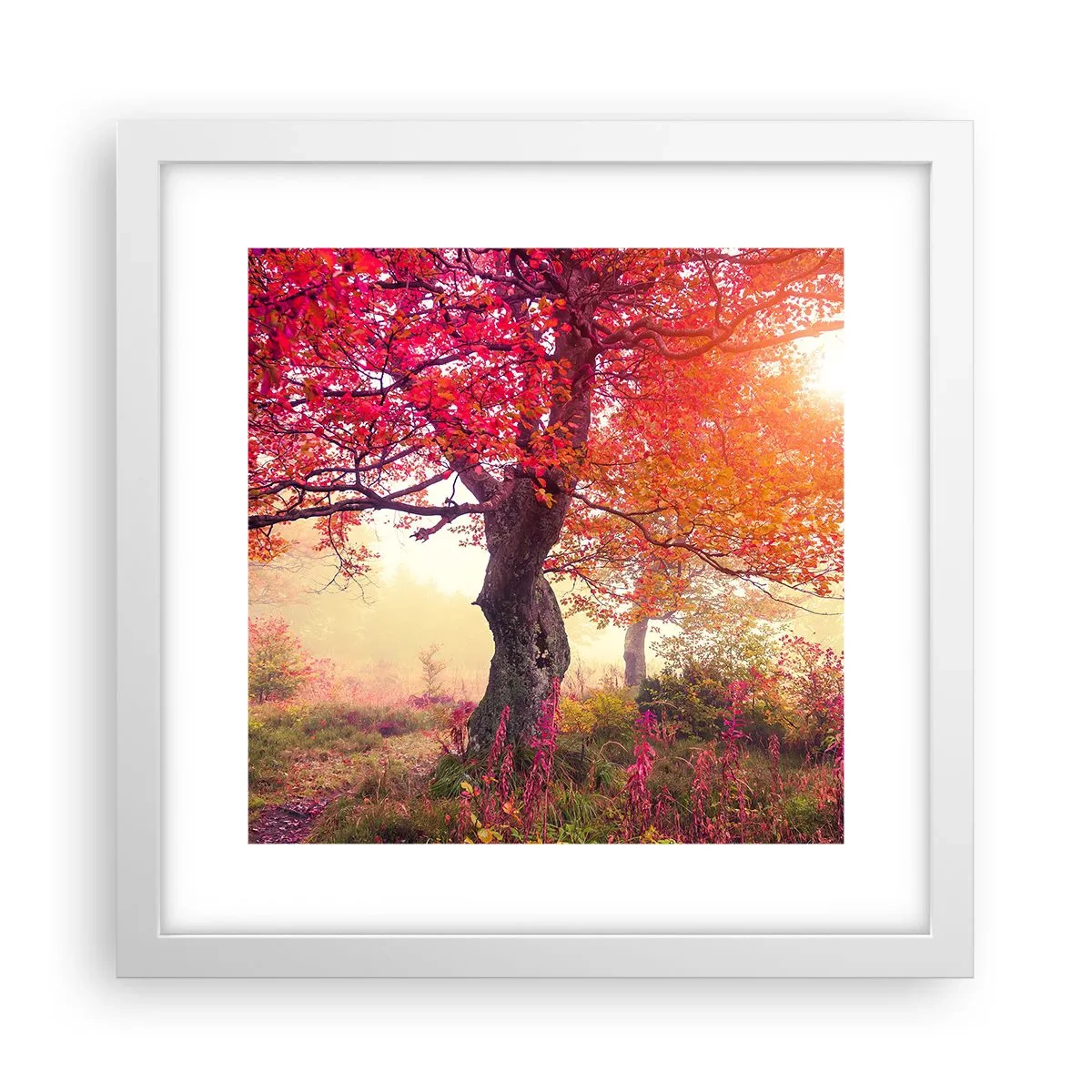 Póster en marco blanco - Un frenesí de floración - 30x30 cm