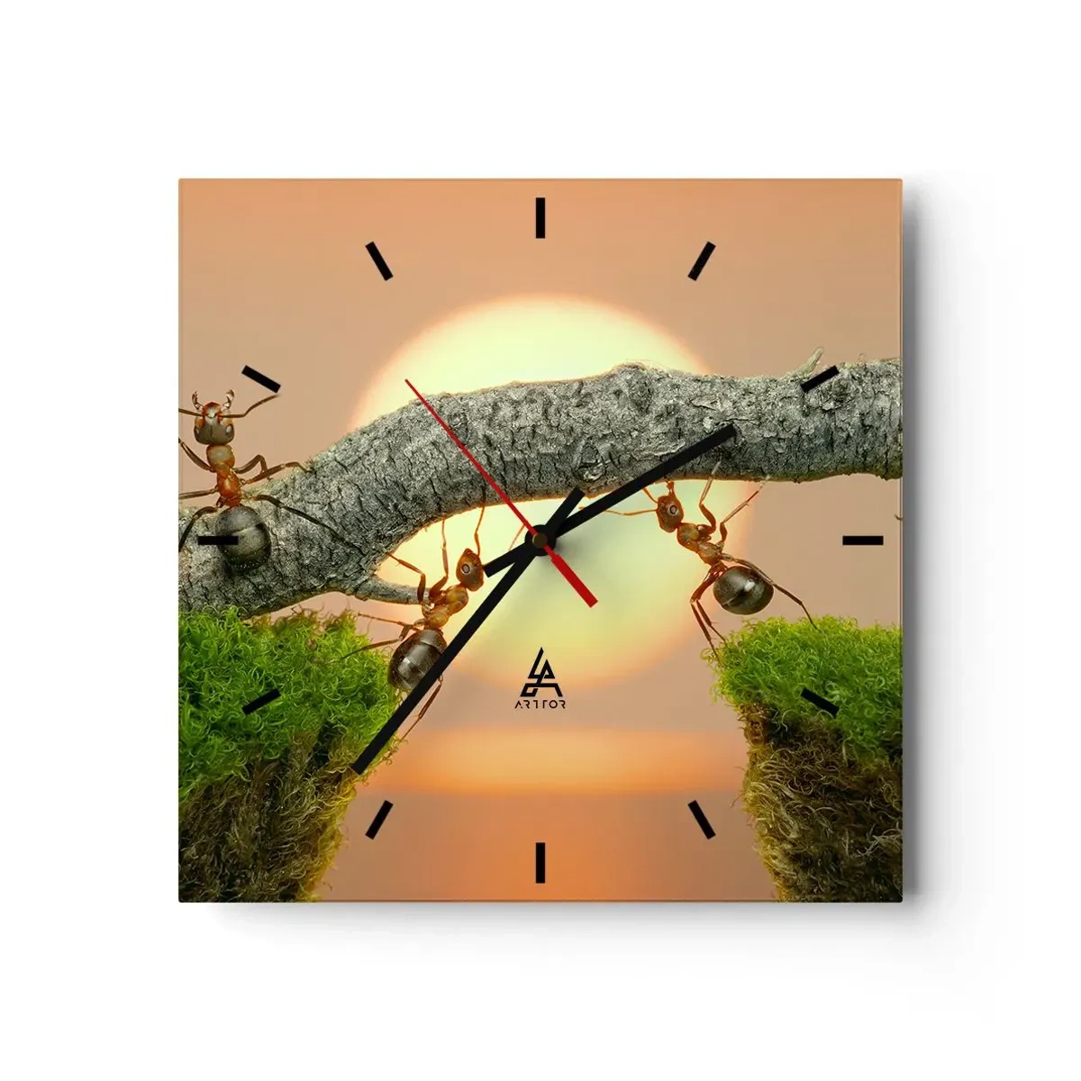 Reloj de pared - Reloj de vidrio - Hormigas construyendo un puente de ramas con el sol poniente como telón de fondo. - 30x30cm - Trabajar juntos con alegría - Decoración de pared moderna para salón y dormitorio ARTTOR