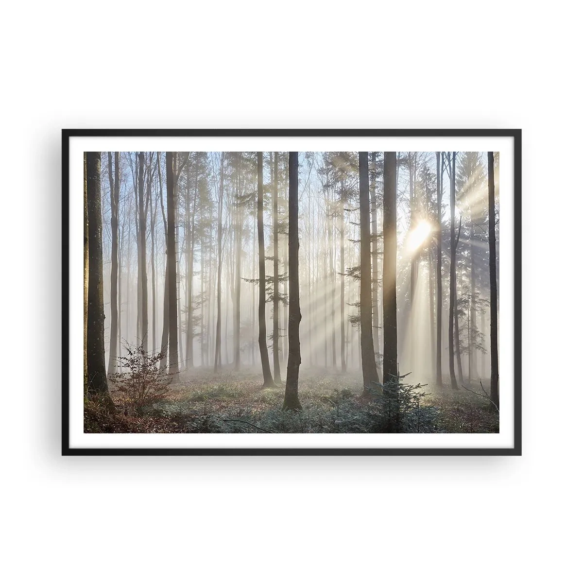 Póster en marco negro - Un bosque en medio de una ligera niebla con rayos de sol brillando a través de los árboles. - 100x70cm - La niebla también está despierta - Decoración de pared moderna para salón y dormitorio ARTTOR