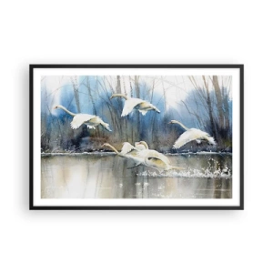 Póster en marco negro - Como en un cuento de cisnes salvajes - 91x61 cm