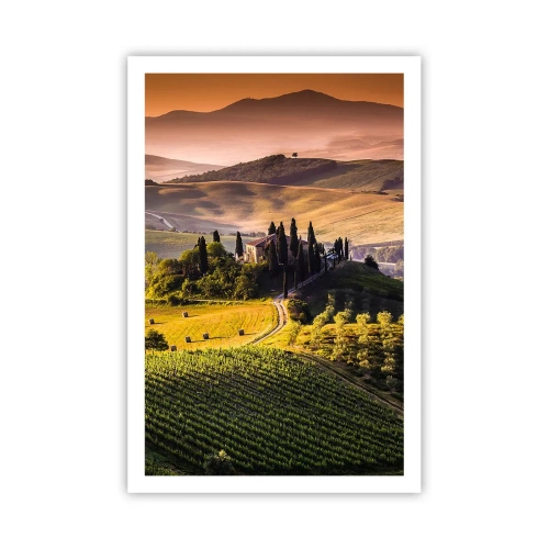 Póster - Paisaje toscano - 61x91 cm