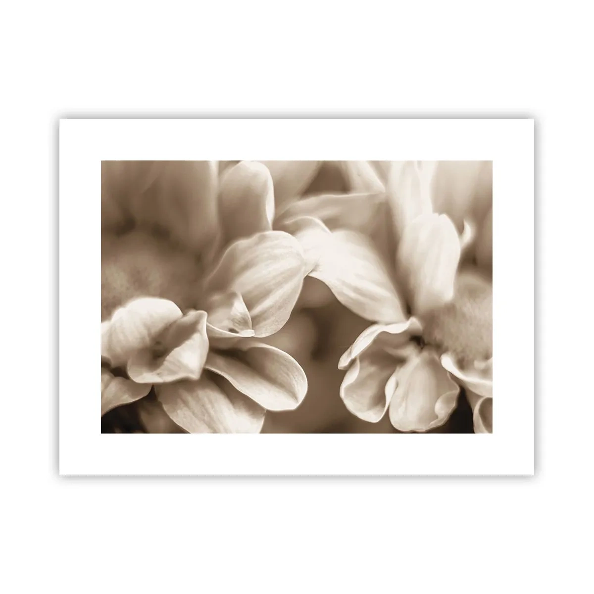 Póster - Suave como una sonrisa - 40x30 cm