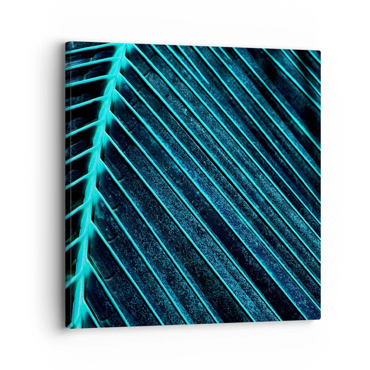 Cuadro sobre lienzo - Impresión de Imagen - La textura del verde - 30x30 cm